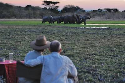 Founders on safari in Africa